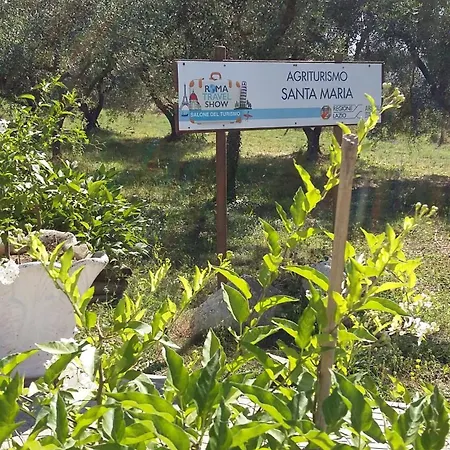 Santa Maria *